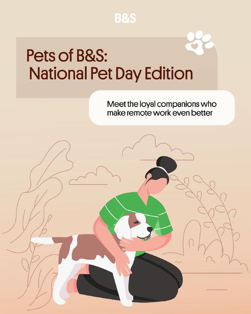 B&S Careers